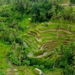 Ubud and Waterfall Half Day Tour Packages - The Practicalities: Details That Matter