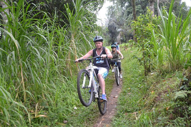 Ubud Bali Cycling Tour - The Itinerary Breakdown: What to Expect