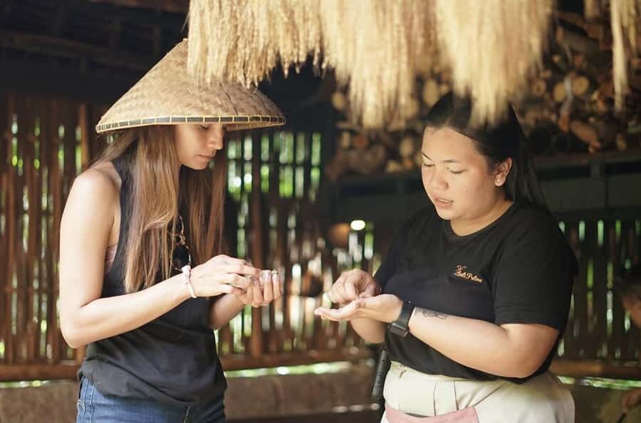 Ubud: Bali Pulina Tour with Swing & Tegallang Rice Terrace - The Overall Experience: What Makes It Worth It?