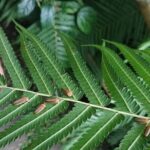 Ubud: Balinese Village Life, Organic Farm Dinner and Firefly Tour - The Practicalities