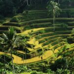Ubud: Bali's 3 Epic Waterfall, Rice Terrace, and Temple Tour - Overview of the Tour Experience