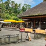 Ubud: Bangkiang Jaran waterfall, Tibumana waterfall & Temple - Authentic Experiences and Reviewer Insights