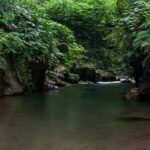 Ubud: Bayad Village, Waterfall and Cave Trek Adventure - Practical Tips for Making the Most of Your Day