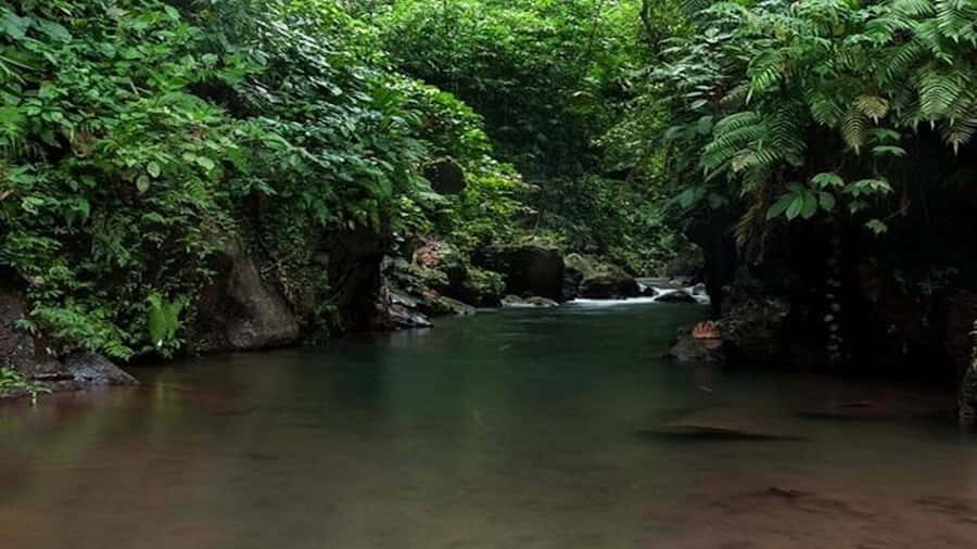 Ubud: Bayad Village, Waterfall and Cave Trek Adventure - Practical Tips for Making the Most of Your Day