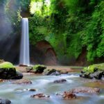 Ubud - Best Waterfall Tour & Bali Swing - Coffee Plantation Experience: Taste and Learn