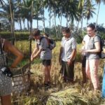 Ubud Cooking : All Inclusive Cooking Class - Why Choose This Cooking Class?