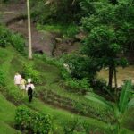 Ubud: Cooking Class & Herb Garden Tour with Local Chef - The Cooking Class: Hands-On with a Friendly Local Chef