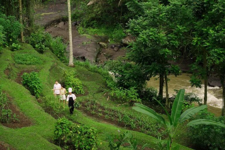 Ubud: Cooking Class & Herb Garden Tour with Local Chef - The Cooking Class: Hands-On with a Friendly Local Chef