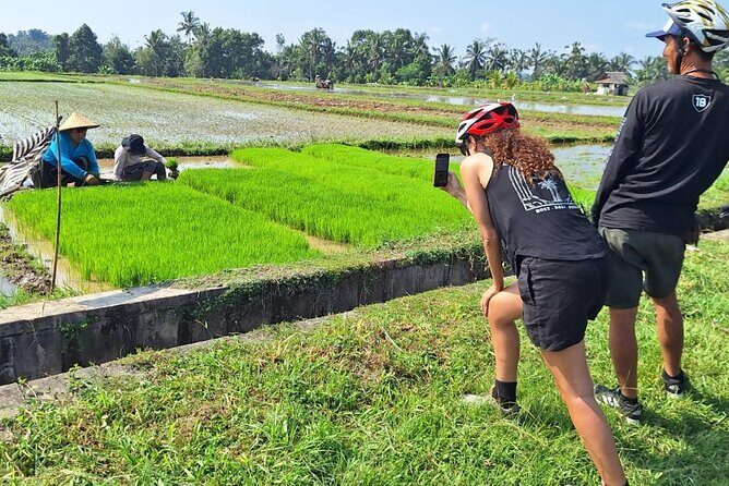 Ubud Countryside Cycling Tour with Village Lunch - What’s Included and What to Consider