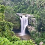 Ubud Customized Tour All-Inclusive - An In-Depth Breakdown of the Itinerary