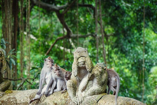 Ubud Day Tour: Sacred Monkey Forest, Rice Terraces and Waterfall - Who Should Book This Tour?