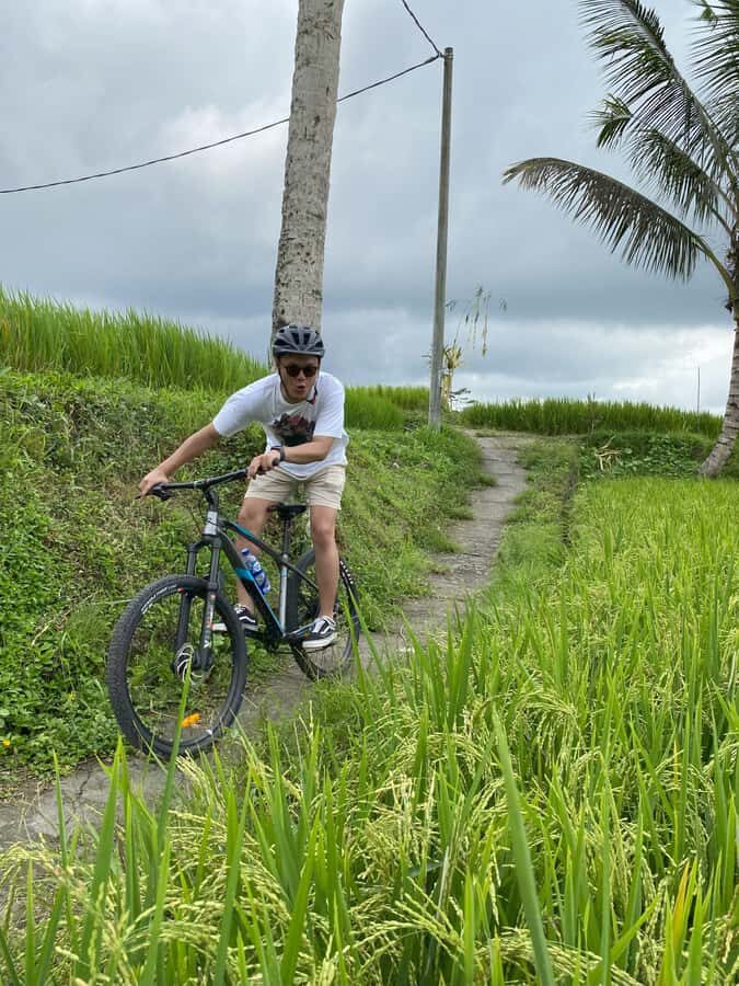 Ubud: Downhill Bike Tour with Rice Fields, Volcano and Meal - Exploring Bali’s Cultural Heart