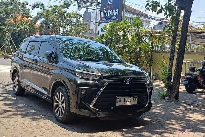 Ubud Full Day Private Tour - Who Should Consider This Tour?