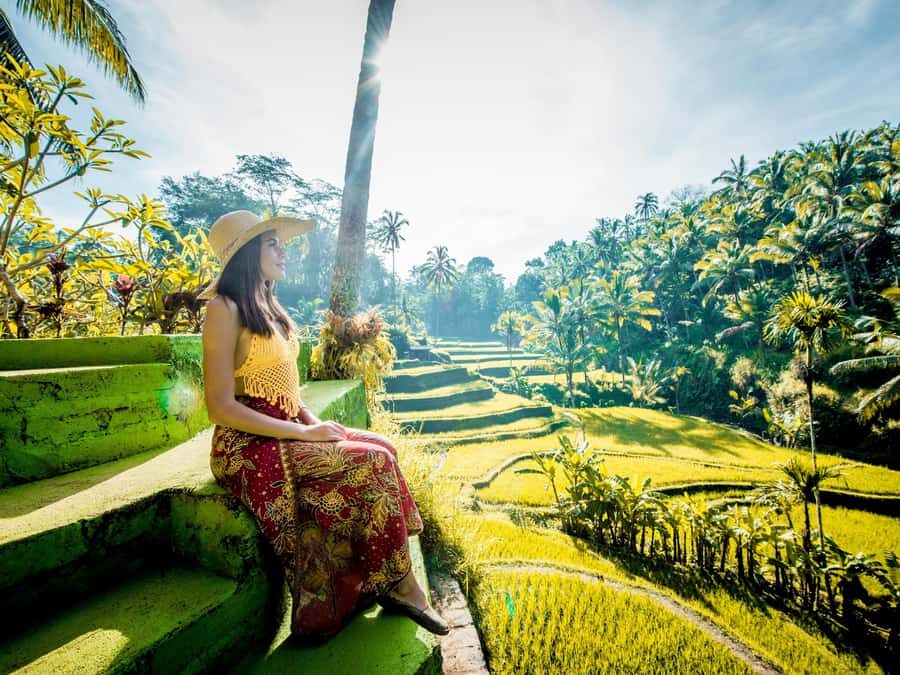 Ubud: Full-Day. Rice Terrace, Tirta Empul Temple & Waterfall - Discovering Bali’s Iconic Rice Terraces and Scenic Views