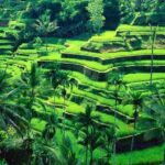 Ubud Full Day Tour: Private and Customizable - Final Thoughts