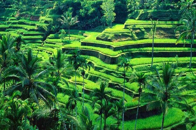 Ubud Full Day Tour: Private and Customizable - Final Thoughts