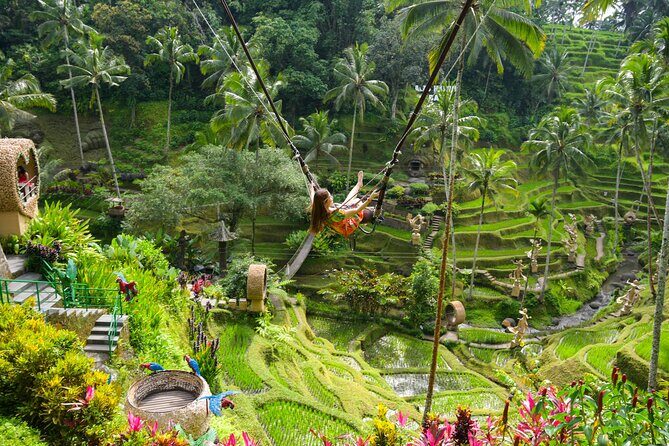 Ubud Full Day Tour with Entry Tickets - A Deeper Look at the Ubud Full Day Tour
