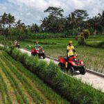Ubud Gorilla ATV Quad Bike Adventure with Meal - Final Thoughts