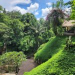 Ubud: Hidden Waterfalls, Rice terrace & Cliffside Dining - Discovering the Hidden Gems of Ubud’s East Side