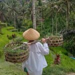 Ubud Highlights: The Ultimate Balinese Experience - Exploring the Main Stops
