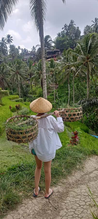 Ubud Highlights: The Ultimate Balinese Experience - Exploring the Main Stops