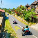 Ubud: Jungle Cart Adventure with Guide - The Itinerary in Detail