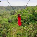 Ubud: Monkey Forest and Pakudui Rice Terrace Tour - Experience Overview: What You Can Expect