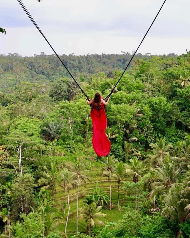 Ubud: Monkey Forest and Pakudui Rice Terrace Tour - Experience Overview: What You Can Expect