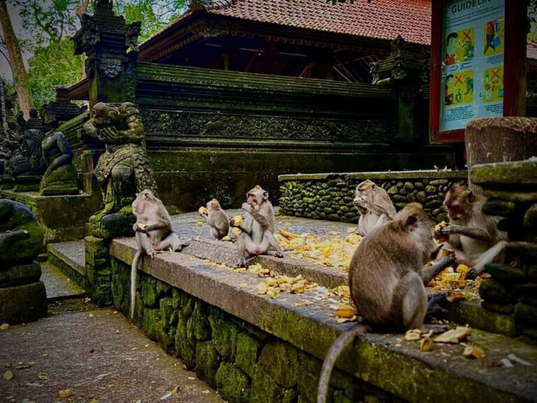 Ubud: Monkey Forest, Cretya Pool & Zipline Shared Tour - The Value of This Ubud Day Tour