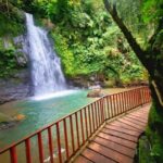 Ubud: Monkey Forest, Rice Terrace ticket included - The Value of This Tour