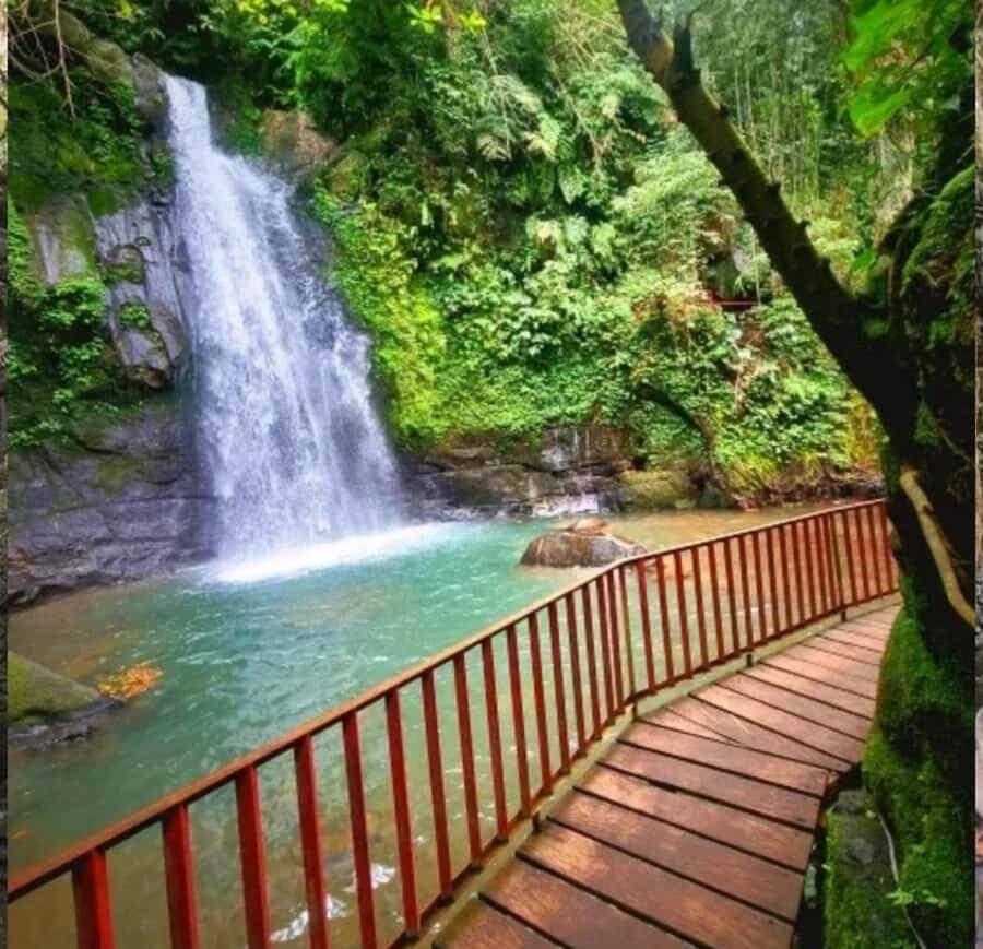 Ubud: Monkey Forest, Rice Terrace ticket included - The Value of This Tour