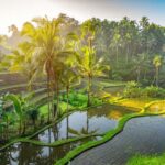 Ubud: Monkey Forest, Waterfall, and Rice Terrace Tour - Authentic Experiences and Hidden Gems