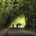 Ubud Nature Waterfall Tour - The Itinerary Breakdown: What to Expect