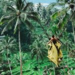 Ubud Private Customized Full Day Tour - What’s Included & What to Expect