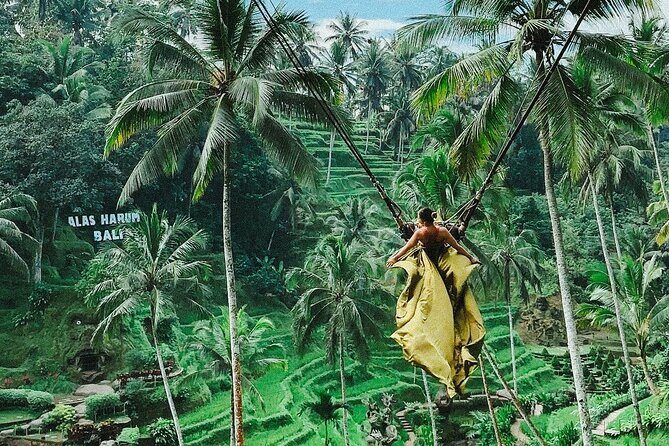 Ubud Private Customized Full Day Tour - What’s Included & What to Expect