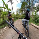 Ubud: PRIVATE Downhill Bike Tour with Rice Terraces & Meal - Why This Tour Offers Great Value