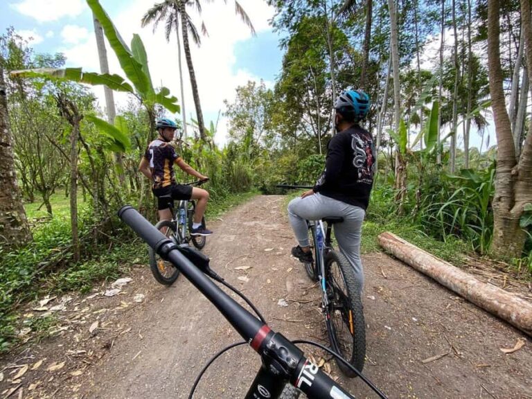 Ubud: PRIVATE Downhill Bike Tour with Rice Terraces & Meal - Why This Tour Offers Great Value