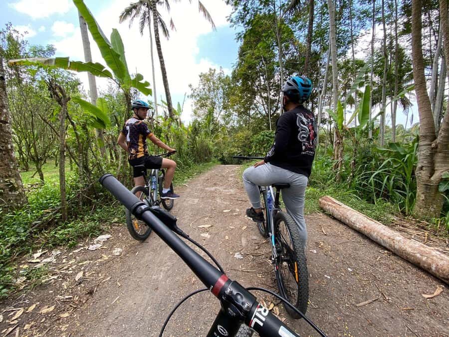 Ubud: PRIVATE Downhill Bike Tour with Rice Terraces & Meal - Why This Tour Offers Great Value