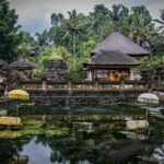 Ubud Private Full-Day Tour: Waterfall, Temples & Rice Terraces - Additional Details That Matter