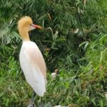 Ubud: Private Fullday Tour with Flexible Itenarary - Who is This Tour Best for?