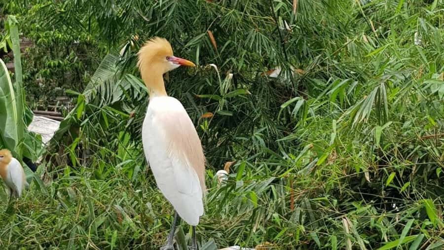 Ubud: Private Fullday Tour with Flexible Itenarary - Who is This Tour Best for?