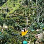 Ubud Private Tour: Waterfall, Monkey Forest, Rice Terrace, Temple - What’s Included and What’s Not