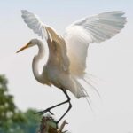 Ubud: Private Tour with Gunung Kawi Temple & Waterfall - Detailed Breakdown of the Experience