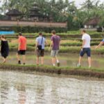 Ubud: Rice Field Trekking Tour with Guide and Drink - Itinerary Breakdown