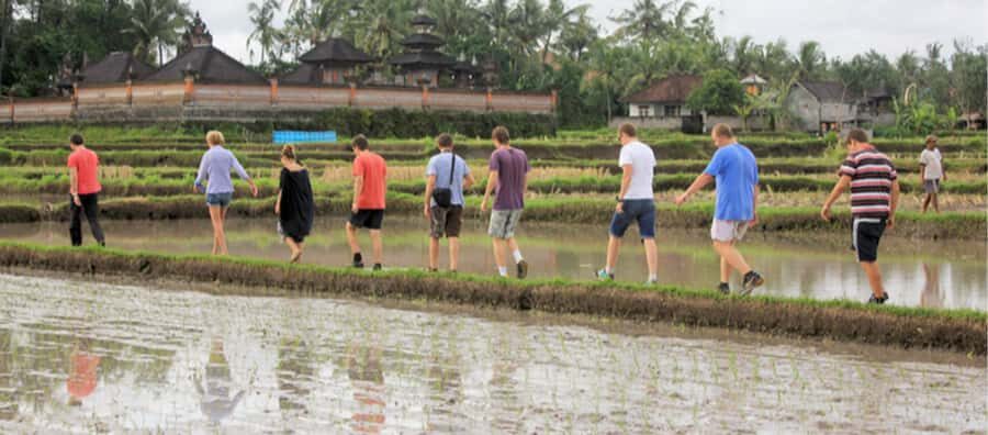 Ubud: Rice Field Trekking Tour with Guide and Drink