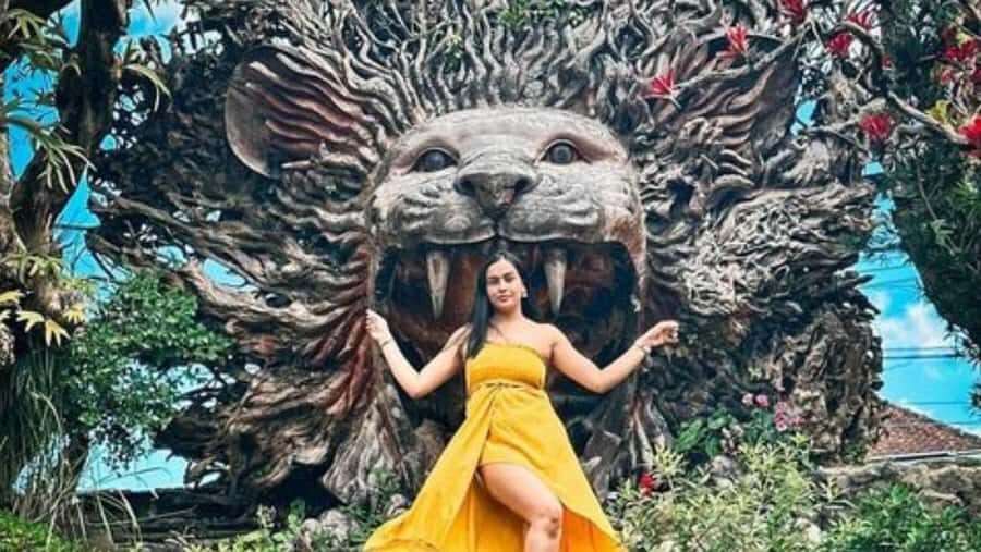 Ubud: Several Ubud Tour Itenarary with Private Driver - Who Will Love This Tour?