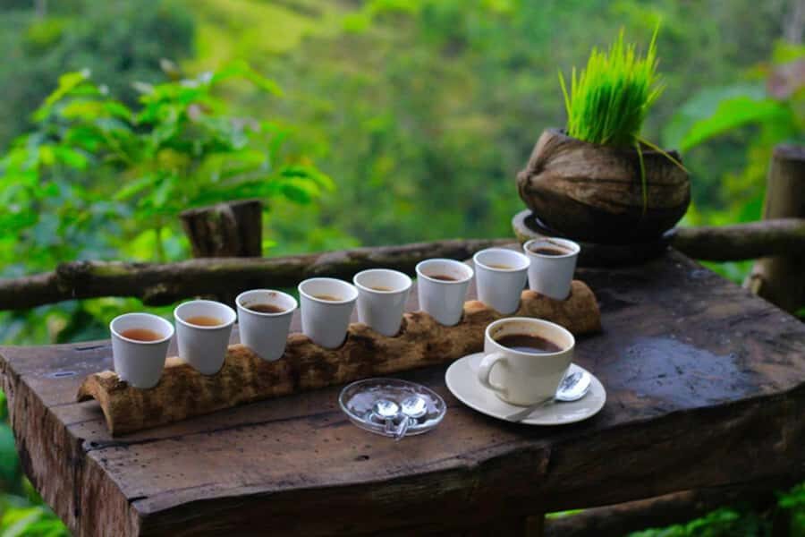 Ubud: Silver Jewelry and Coffee Tasting - The Itinerary Breakdown