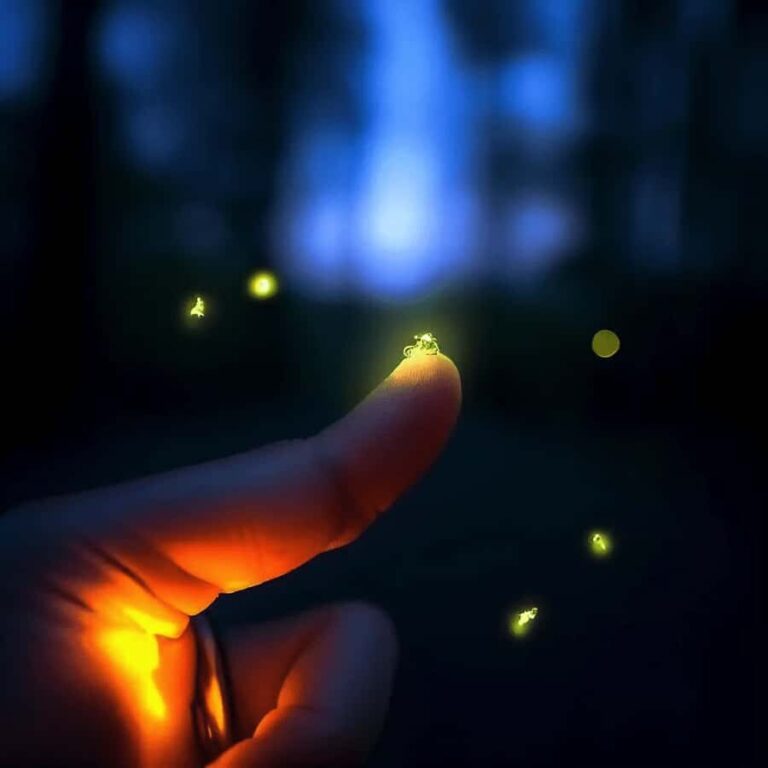 Ubud: Taro Village Firefly Excursion with a Vegetarian Meal - The Itinerary Breakdown: What to Expect