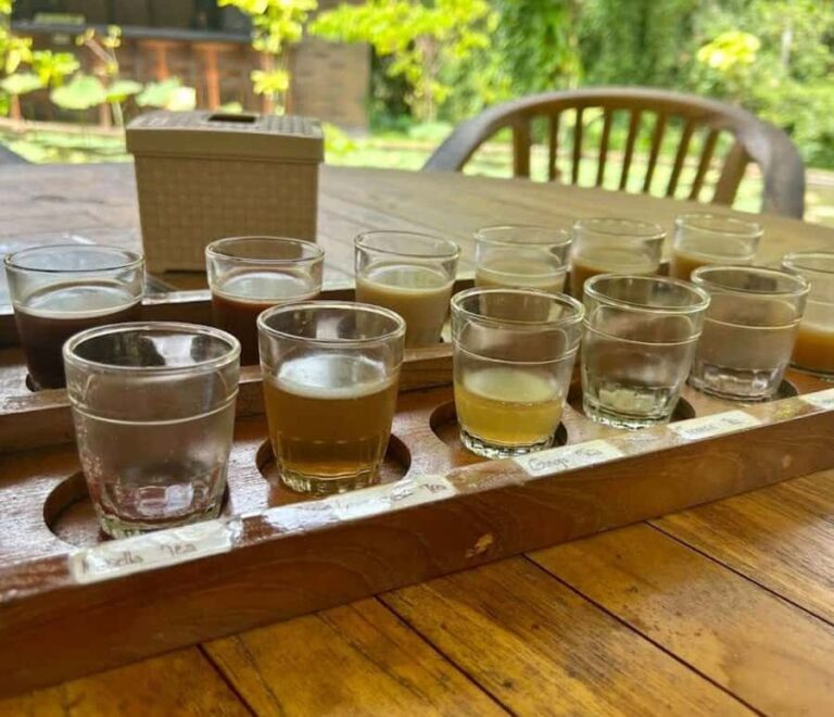 Ubud: Tirta Empul Temple E-Bike Tour with Lunch - What to Expect During the Tour