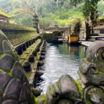 Ubud: Tirta empul temple, Rice terrace and Waterfall - Practical Details and What You Should Know